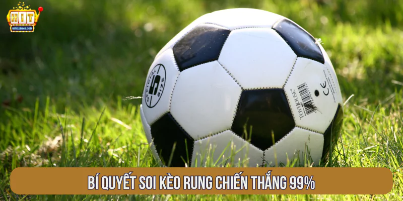 Bí quyết soi kèo rung chiến thắng 99%