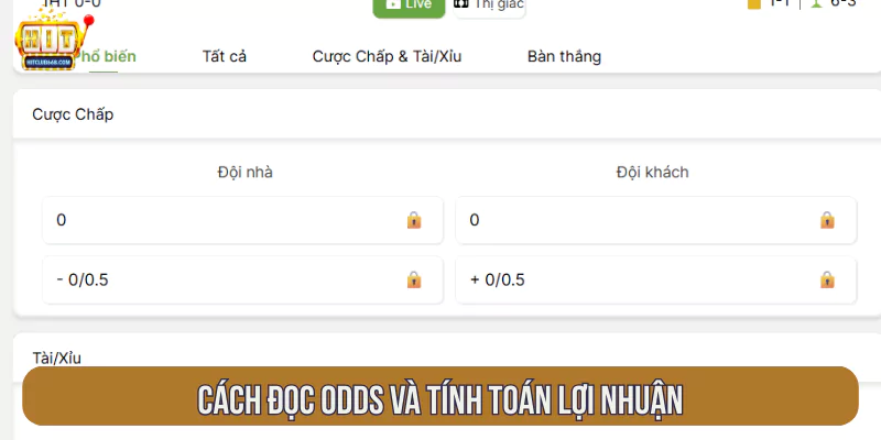Cách đọc Odds và tính toán lợi nhuận