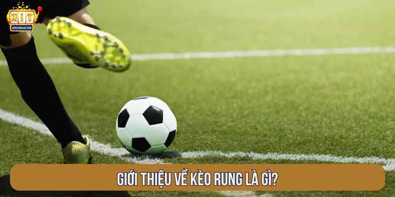 Giới thiệu về kèo rung là gì?