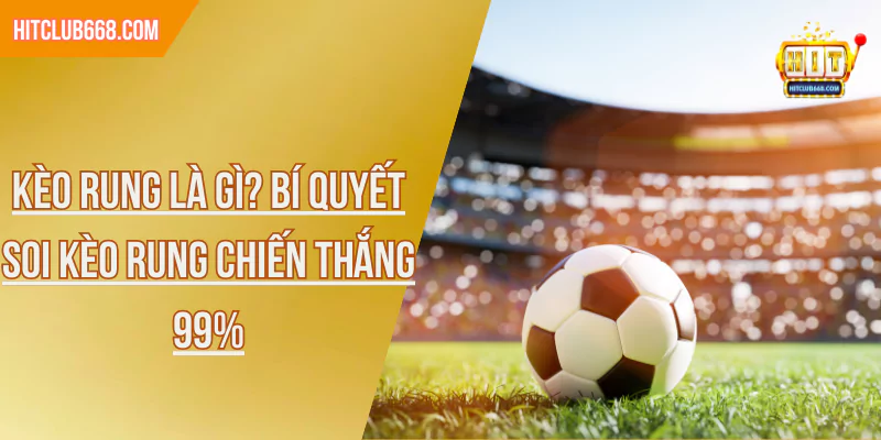 Kèo Rung Là Gì? Bí Quyết Soi Kèo Rung Chiến Thắng 99%