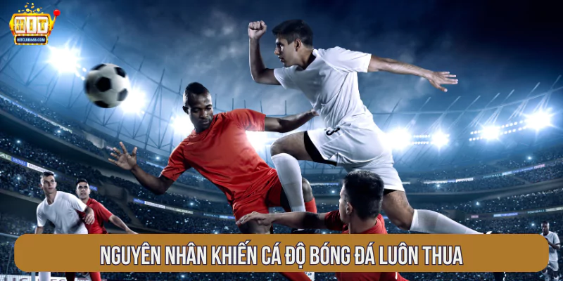 Nguyên nhân khiến cá độ bóng đá luôn thua