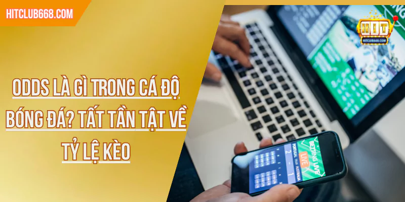 Odds Là Gì Trong Cá Độ Bóng Đá? Tất Tần Tật Về Tỷ Lệ Kèo
